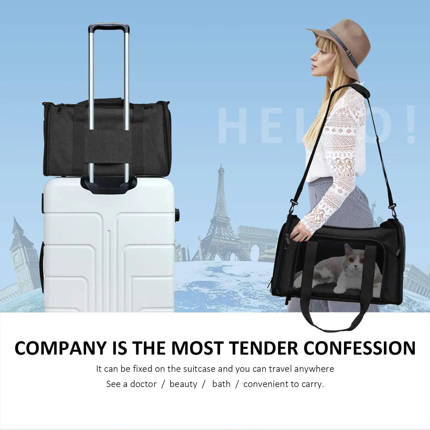 Dog Carrier Bag Soft Side Backpack Pet Carriers Travel Bags Airline Approved Transport for Cats Puppies up to 15 Lbs Outgoing