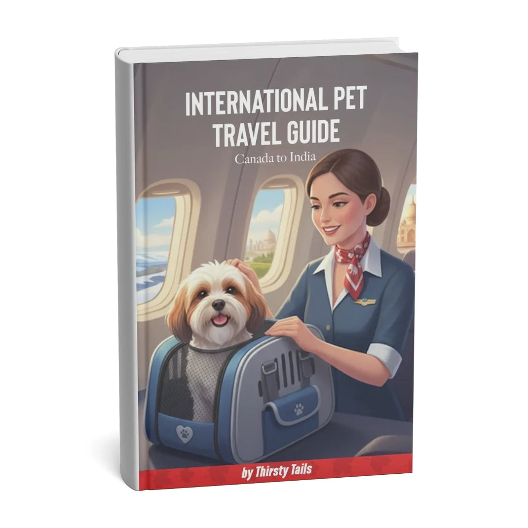Pet Travel Guide