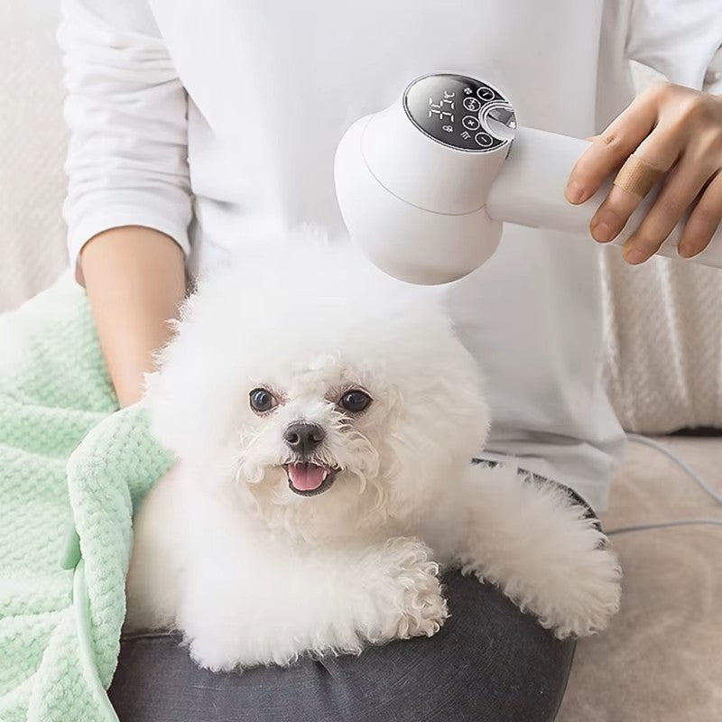 2-in-1 Pet Hair Dryer & Brush – Quiet Dog Grooming Blow Dryer for Cats & Dogs